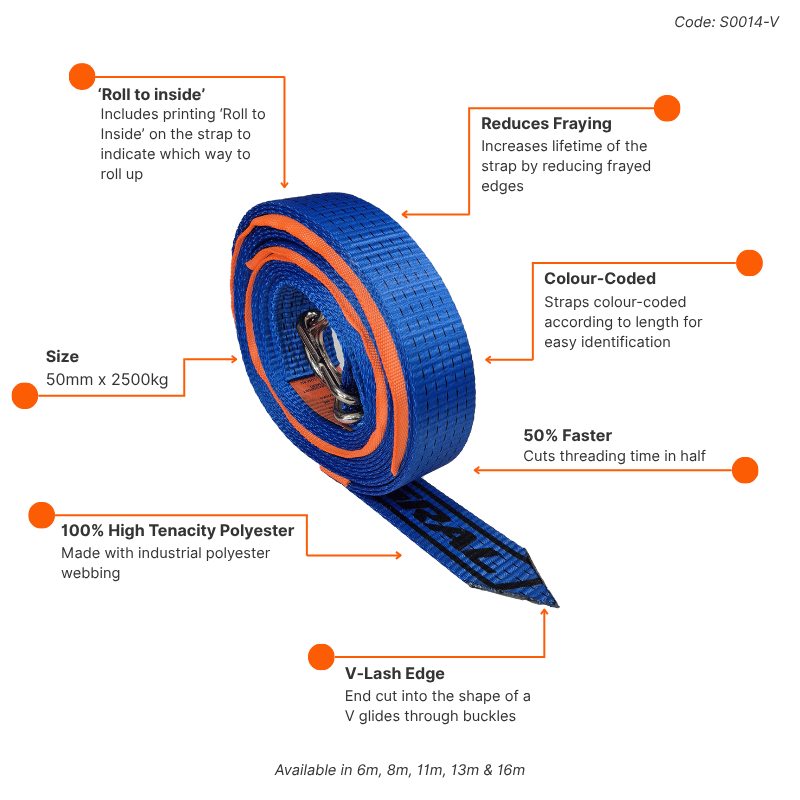 V-lash Highlight Card